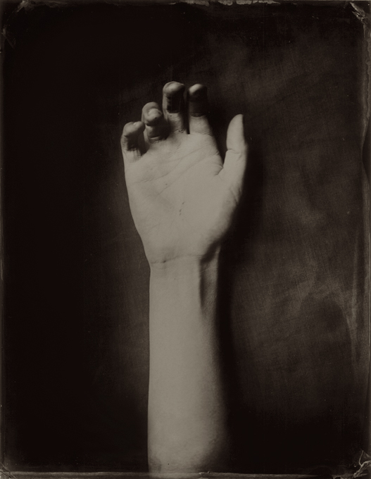 Ben Cauchi, Dead Arm, 2006, tintype, 350 x 270mm. Collection of the artist.
